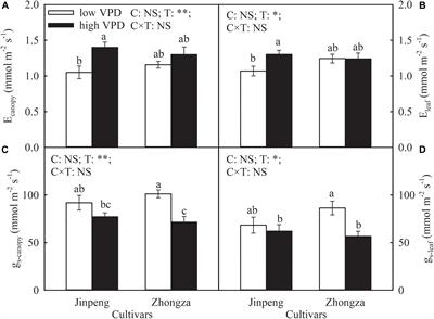 The Response of Water Dynamics to Long-Term High Vapor Pressure Deficit Is Mediated by Anatomical Adaptations in Plants